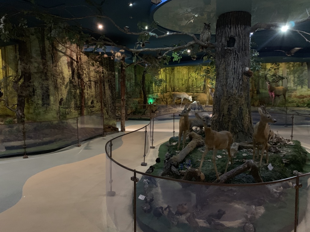 UNADJUSTEDNONRAW_thumb_2b25