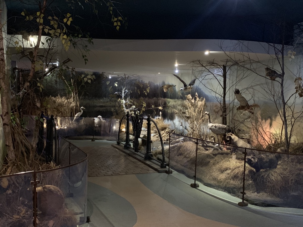 UNADJUSTEDNONRAW_thumb_2b31