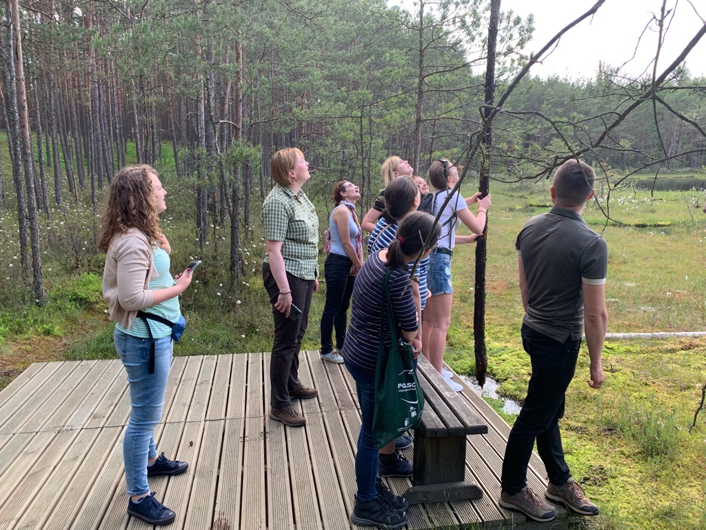 UNADJUSTEDNONRAW_thumb_fe22