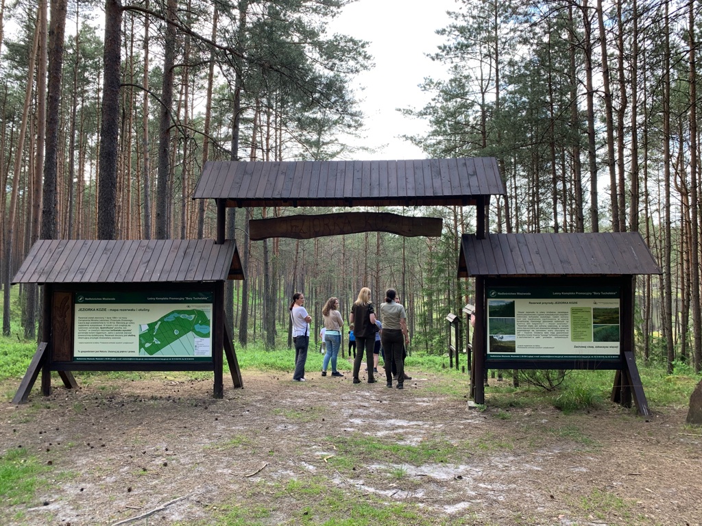 UNADJUSTEDNONRAW_thumb_fe46