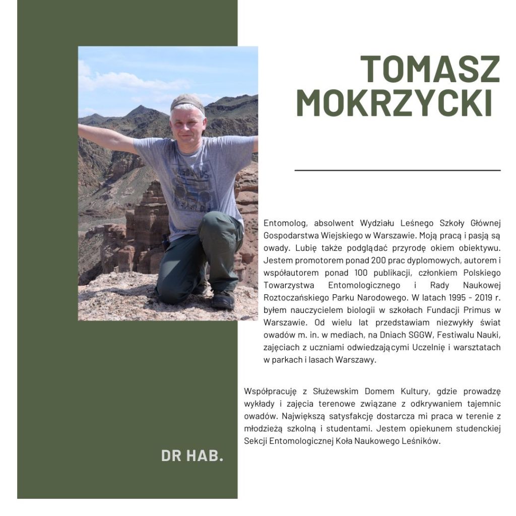 Tomasz Mokrzycki