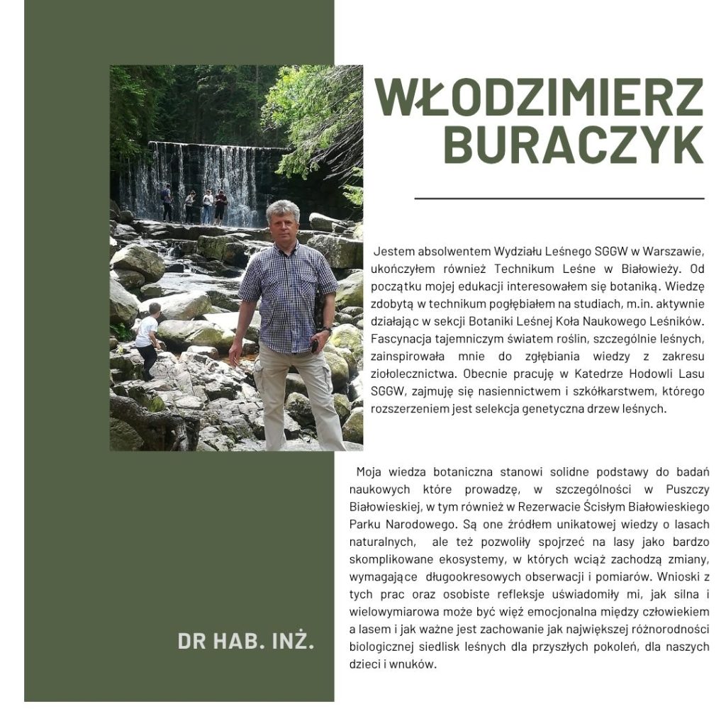 Włodek