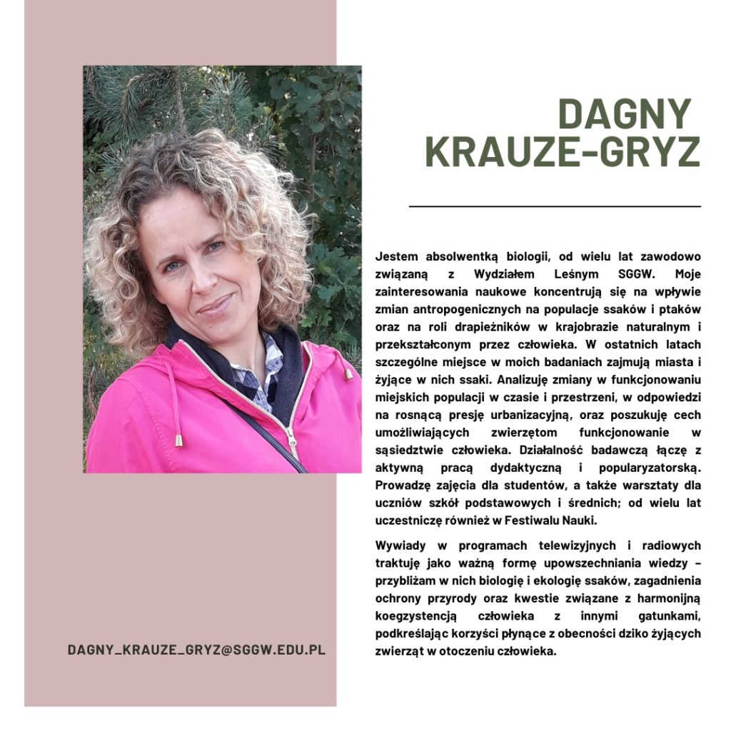 Artist Biography Instagram Post - 33