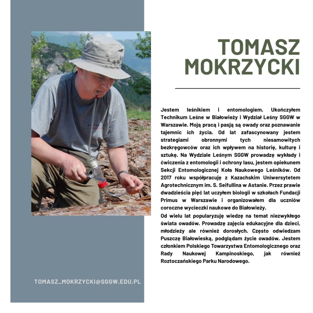 Artist Biography Instagram Post - 29